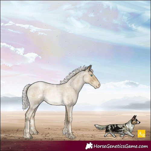 Horse Color:White Spotted Silver Smoky Blue Roan Pearl