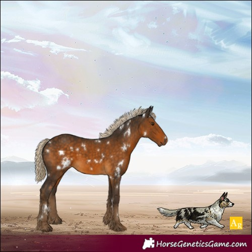 Horse Color:White Spotted Chocolate Palomino