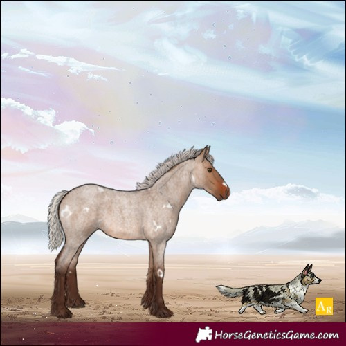 Horse Color:White Spotted Silver Brown Roan Dun