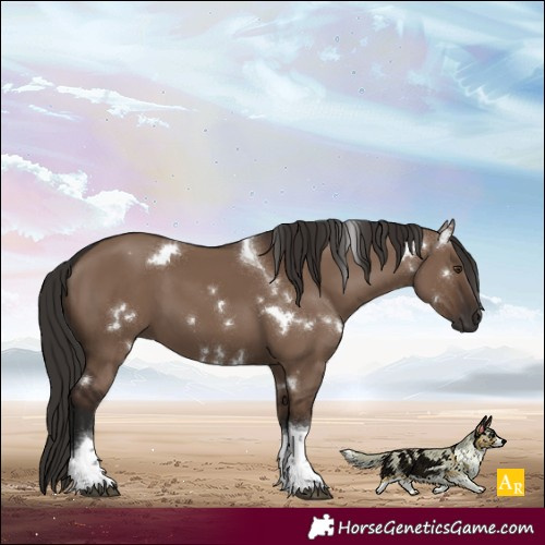Horse Color:White Spotted Liver Red Dun Tobiano 