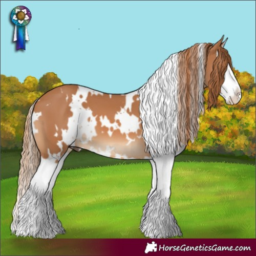 Horse Color:White Spotted Chestnut Splash 