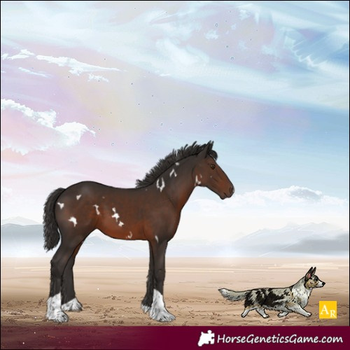Horse Color:White Spotted Liver Chestnut Tobiano