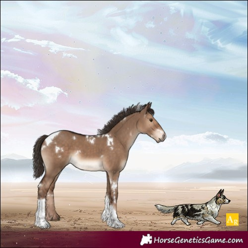 Horse Color:White Spotted Liver Red Dun Tobiano