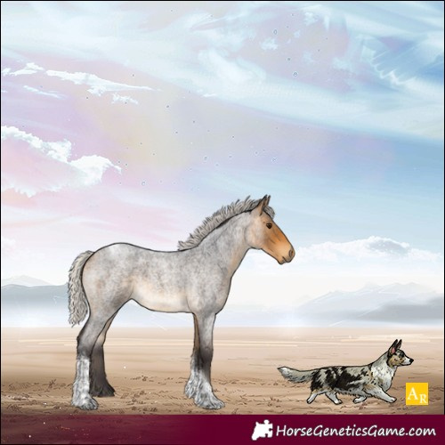 Horse Color:Silver Buckskin Roan Tobiano