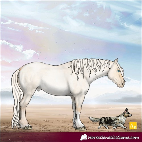 Horse Color:Silver Buckskin Roan Pearl Dun Tobiano