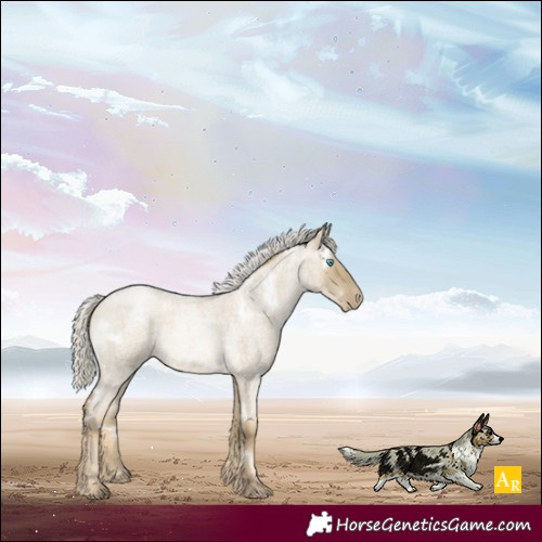 Horse Color:White Spotted Silver Smoky Grullo Roan Pearl 