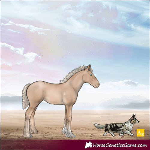 Horse Color:Chocolate Palomino Pearl Tobiano