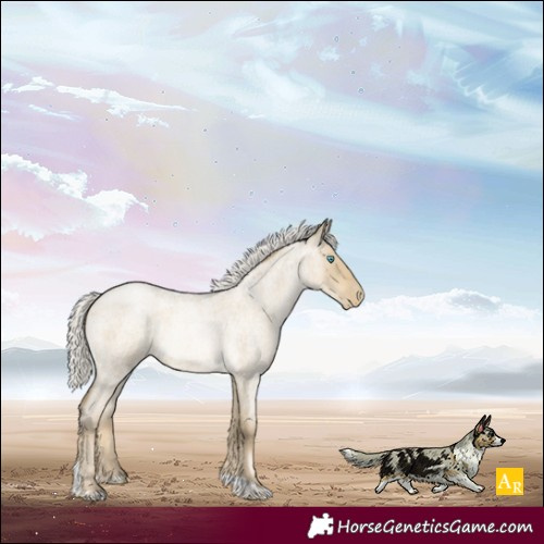 Horse Color:Silver Smoky Grullo Roan Pearl Tobiano 
