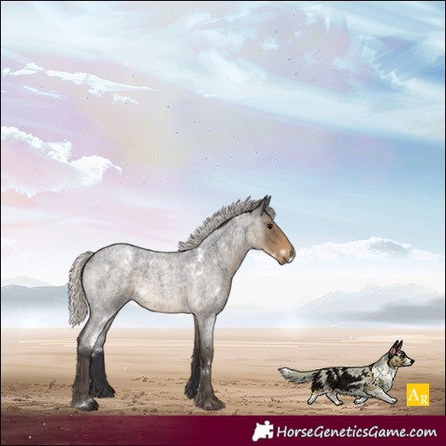 Horse Color:White Spotted Silver Smoky Blue Roan