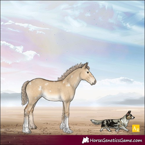 Horse Color:White Spotted Chocolate Palomino Dun Tobiano 