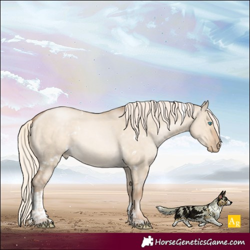 Horse Color:White Spotted Chocolate Palomino Pearl Dun Tobiano 