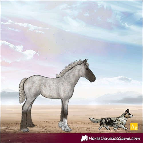 Horse Color:Silver Buckskin Roan Tobiano