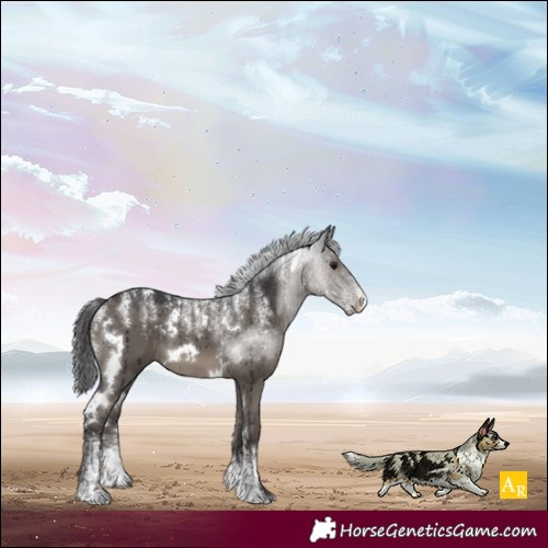 Horse Color:Powder White White Spotted Smoky Grullo Brindle