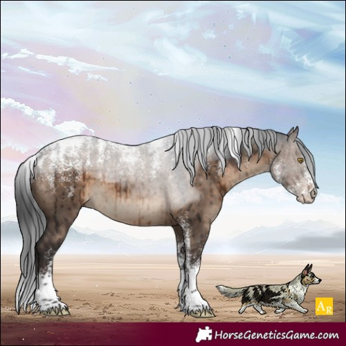 Horse Color:Powder White Brown Dun Brindle