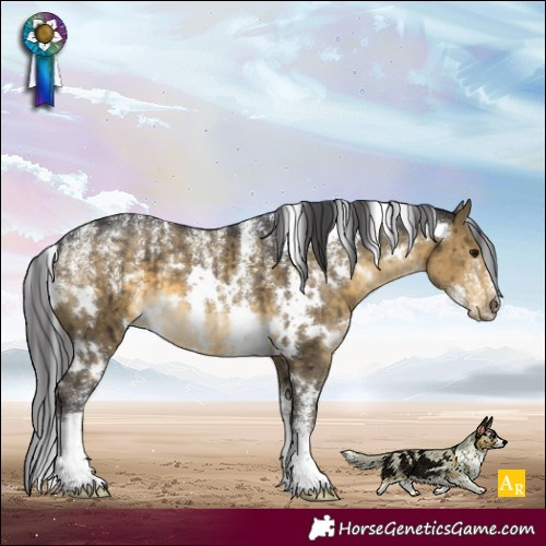 Horse Color:Powder White White Spotted Buckskin Dun Brindle 