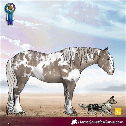 Horse Color:Powder White White Spotted Silver Grullo 
