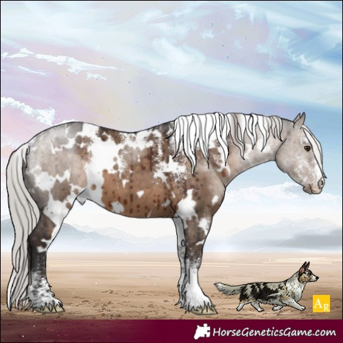 Horse Color:Powder White White Spotted Silver Brown Dun Brindle