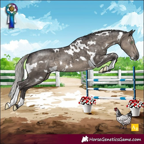 Horse Color:White Spotted Silver Smoky Grullo Brindle