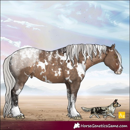 Horse Color:Powder White White Spotted Silver Brown Dun 