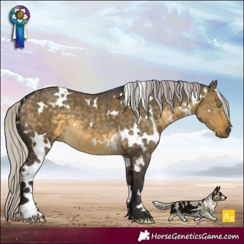 Horse Color:White Spotted Silver Buckskin Dun Brindle 