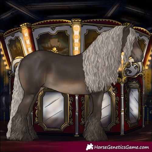 Horse Color:Gray Silver Black 