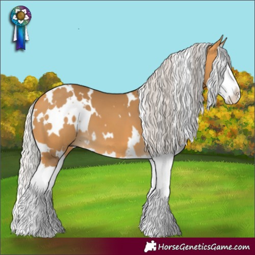 Horse Color:White Spotted Silver Buckskin Splash 