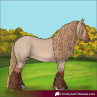 Horse Color:Red Dun 