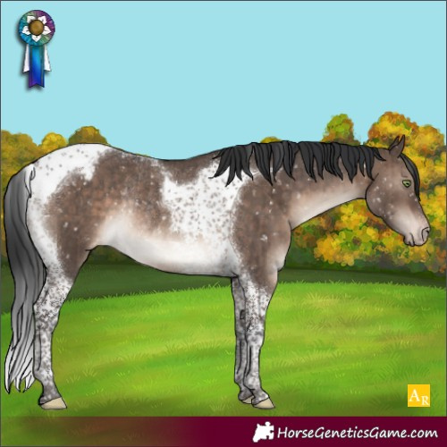 Horse Color:Brown Dun Mushroom Tobiano Snowcap Rabicano Brindle 
