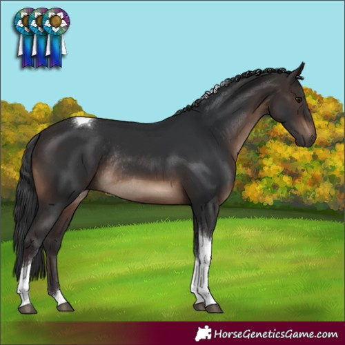Horse Color:Brown Tobiano Rabicano