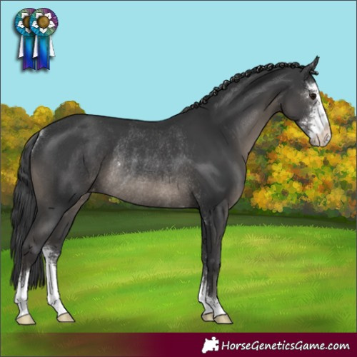 Horse Color:Black Sabino Varnish Rabicano
