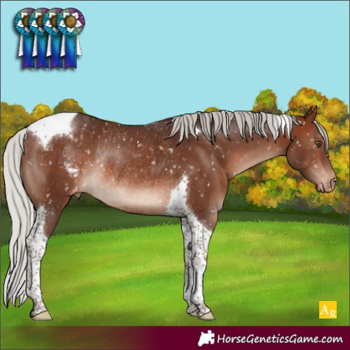 Horse Color:Silver Brown Mushroom Tobiano Blanket Rabicano