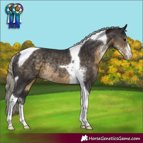 Horse Color:Silver Smoky Black Sabino Tobiano Rabicano
