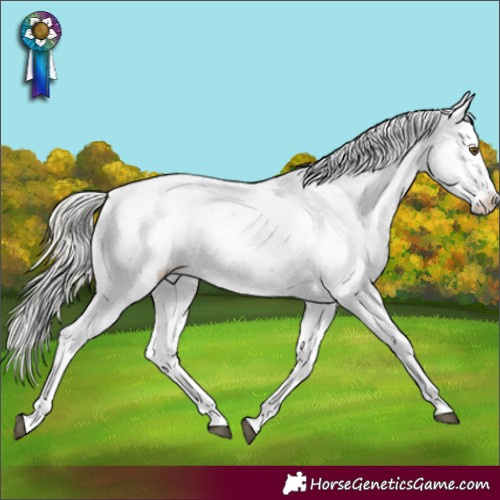 Horse Color:Silver Brown Pearl Sabino Blanket 