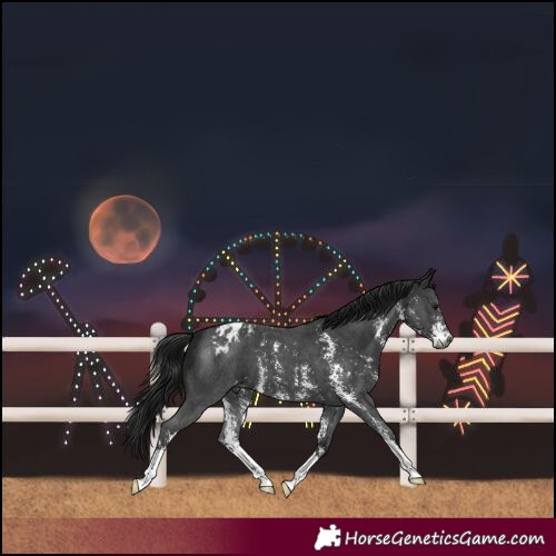 Horse Color:Gray Black Sabino Varnish 