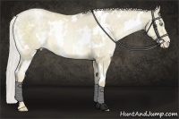 Horse Color:White Spotted Silver Buckskin Pearl Dun 