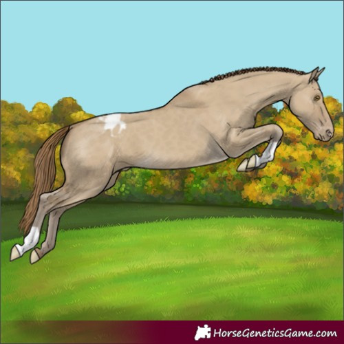 Horse Color:Classic Cream Champagne Dun Blanket 
