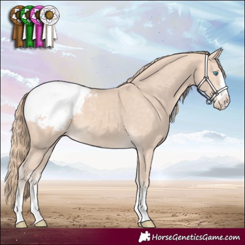 Horse Color:Perlino Snowcap