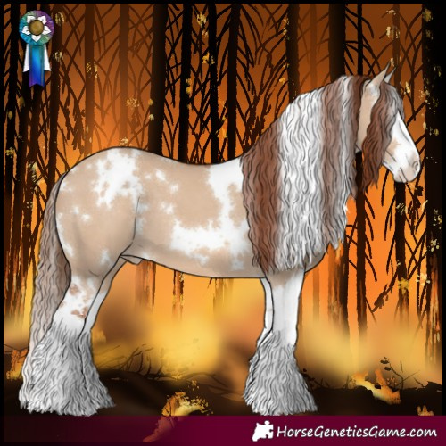 Horse Color:White Spotted Red Dun Splash Varnish
