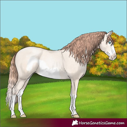 Horse Color:Sable Cream Champagne Pearl Splash Frame