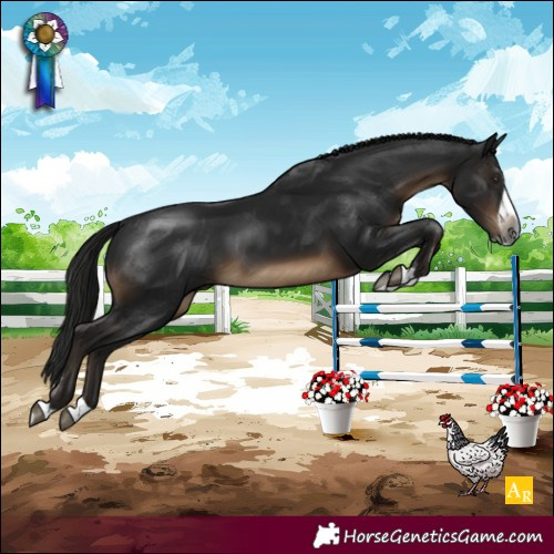 Horse Color:Gray Brown Splash 