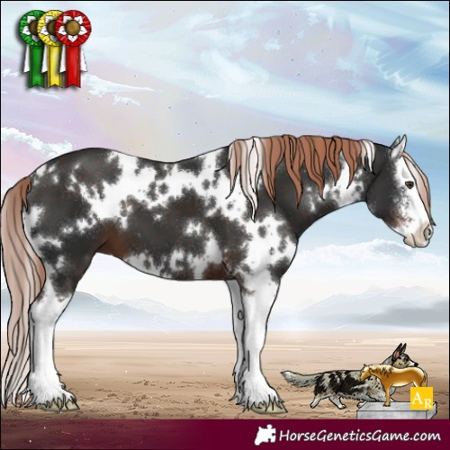 Horse Color:White Spotted Liver Chestnut Sabino Splash 