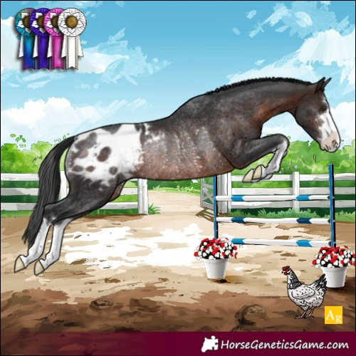 Horse Color:Brown Blanket Rabicano 
