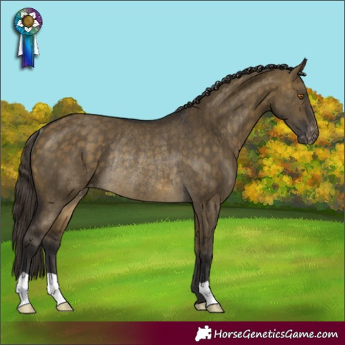 Horse Color:Buckskin Dun Varnish Rabicano Brindle