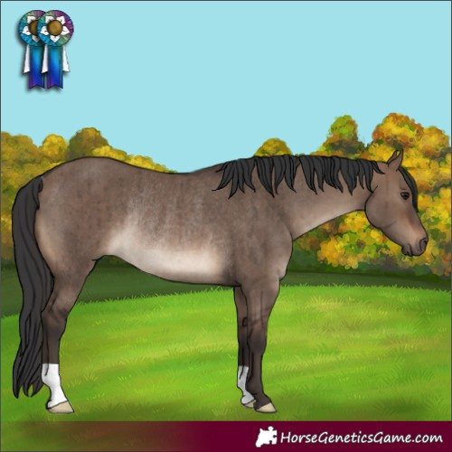Horse Color:Brown Dun Rabicano Brindle