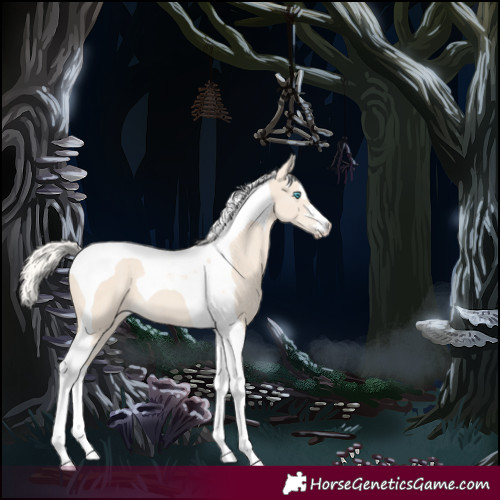 Horse Color:Cremello Tobiano 