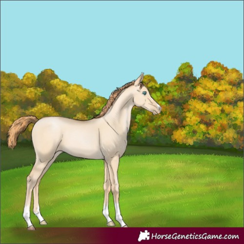 Horse Color:Buckskin Pearl Dun