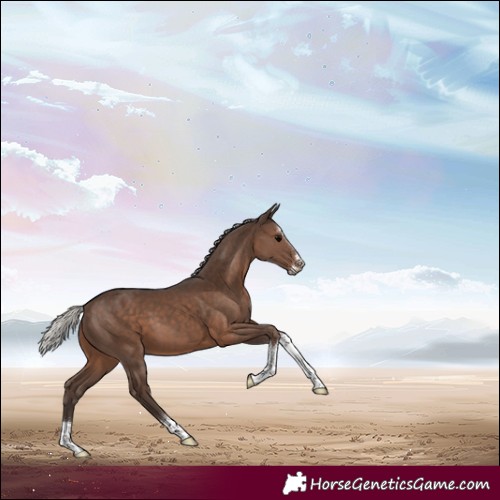 Horse Color:Silver Black Splash Tobiano Rabicano 