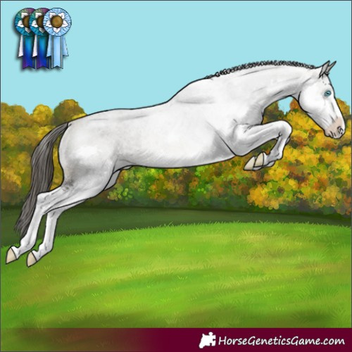 Horse Color:Buckskin Splash Rabicano