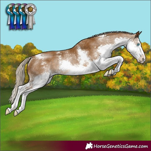 Horse Color:Chocolate Palomino Sabino Splash Rabicano 
