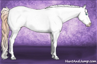 Horse Color:Buckskin Roan Pearl Appaloosa 